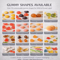 Complément Alimentaire en Gummies de Betterave à Marque Blanche OEM pour la Circulation et l'Antioxydation chez l'Adulte – Déconseillé aux Femmes Enceintes