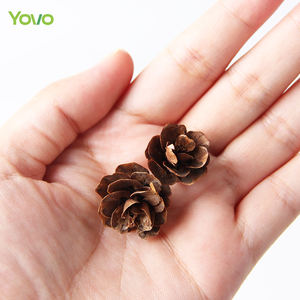 Piñas Secas al por Mayor, Piñas Secas Naturales para Decoración Navideña, Material para Hacer Jabones y Velas - Product Image 3