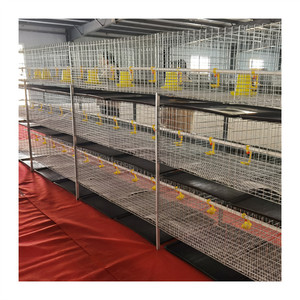 Nuova Gabbia per Polli da Carne Tipo H 2026, <span class=keywords><strong>3</strong></span> Livelli, 2 Porte, con Struttura per 72 Polli - Product Image 3