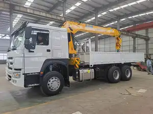 Camion lourd de cargaison de transport de logistique de roues de Sinotruk HOWO 6X4 10 avec la grue montée par camion de 10 tonnes