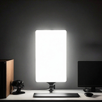 Kit d'éclairage vidéo LED professionnel haute luminosité pour studio photo, alimentation CA/CC, avec télécommande