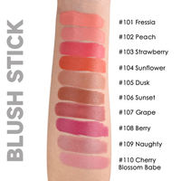 Stick de blush vegan hautement pigmenté, texture crémeuse et légère, maquillage pour le visage longue tenue, waterproof, vente en gros