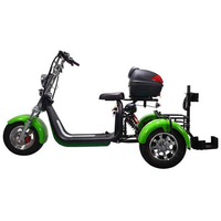 Scooter électrique de golf pliable à trois roues Citycoco 3000W GPS, étanche, avec une autonomie de 60 à 100 km