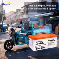 Pack d'alimentation pour fauteuil roulant électrique 24V300AH 7.2KWh Batterie prismatique LFP BMS avancé Haute performance pour tricycle électrique à 3 roues