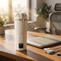 Bouilloire de voyage portable, tasse à contrôle de température intelligent, écran tactile, multifonctionnelle, anti-fuite, en acier inoxydable, tasse à eau électrique