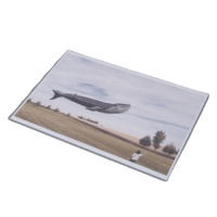 Feuilles de stratification thermique A4 75mic transparentes brillantes personnalisées Film de pochettes de stratification d'usine PET de qualité alimentaire 3mil 5mil A3 de qualité