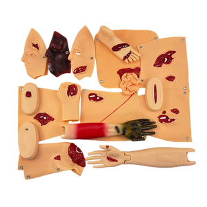 Maniquí de Evaluación de Trauma de 16 Componentes para Entrenamiento y Enseñanza en Ciencias Médicas - Product Image 6