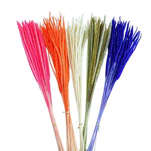 Nouveau magasin ouvert coloré Setaria <span class=keywords><strong>Pumila</strong></span> conservé fleurs d'herbe Kirin véritable eucalyptus licorne séché naturel en gros - Product Image 2