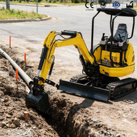 Excavatrice sur chenilles de 2 tonnes, robuste, à moteur diesel, offrant une force de godet élevée et une capacité de creusement profond pour les travaux de terrassement