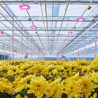 Lampu tumbuh Led untuk budidaya 30W 50W 100W 320W 480W tabung sam77row | UFO | Lampu tumbuh Linear Led untuk budidaya bunga sayuran