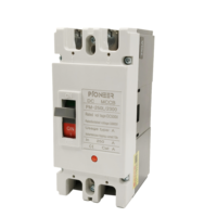 Disjoncteur à boîtier moulé électronique Pioneer MCCB 2P bidirectionnel CC 50/60Hz CC250V-1000V 200A 250A 20kA à déclenchement électronique en cuivre, directement de l'usine