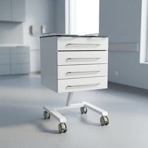 CLEBER Modulo Mobile per Cassetti Ospedalieri Moderno in Acciaio Inossidabile, Resistente, Silenzioso, Regolabile, Facile da Installare, Modello <span class=keywords><strong>OLBIA</strong></span> - Product Image 3
