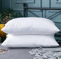 Oreiller hp en coton, coussin intérieur pour hôtel, maison, hôtel, luxe, taille Standard, en Gel, Fiber de Polyester, emballage sous vide