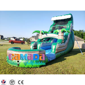 Tobogán Acuático Inflable de PVC Comercial para Niños, para Uso en Exteriores, Hogar o Escuela, con Color y Tamaño Personalizables Disponibles para la Venta - Product Image 4