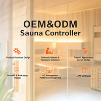 Contrôleur de sauna encastré personnalisé avec thermostat LCD à affichage négatif pour panneau de commande de sauna