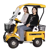 Nouveau Scooter électrique deux places E20 avec abri Véhicule électrique à quatre roues 500W/800W Puissance du moteur 60V Smart Electronic Ebike