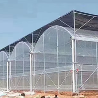 Construction de structures en acier pour serres à fleurs avec une forte capacité de charge