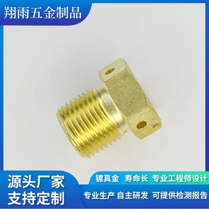 Brass Hex <b>Screws</b> <b>Copper</b> Plugs Standard Thread Metric Machining Turning Finishing 20mm Max Diameter 80mm Length - Product Image 2