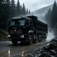 Spesifikasi Khusus Truk Tipper Berat HOWO NX 8X4 Kapasitas Muatan Berbeda untuk Kebutuhan Teknik