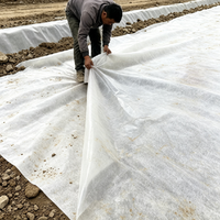 Композитная геомембрана (HDPE/LDPE) для защиты от протечек и проколов, пригодная для вторичной переработки, водонепроницаемая, для полигонов ТБО, рыбоводческих хозяйств, прудов, сточных вод