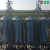 Silos in Acciaio per Stoccaggio di Mais, Grano e Cereali con Macchina Integrata per Pulizia ed Essiccazione
