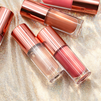 Gloss à lèvres minéral végétalien OEM, étiquette privée, logo personnalisé, imperméable, longue tenue, teinte à lèvres, vente en gros, taille standard, gloss liquide