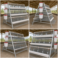 Nouvelle cage à poulets de type A galvanisée à chaud, 4 niveaux, 160 oiseaux, cage en batterie haute capacité pour ferme avicole en Afrique