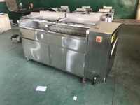 Machine à éplucher et à laver les légumes (gingembre, racine de lotus, papaye, patate douce) avec brosse rotative
