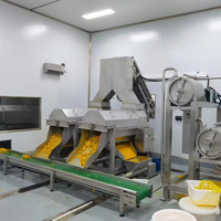 Kant En Klare Nfc Mango Sap Maken Machine Productielijn Fabriek Mango Pulp Verwerkingsfabriek