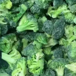 Brokoli Pemrosesan Baru Sayuran IQF Berkualitas Tinggi