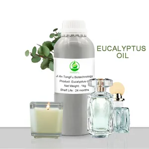 Wholesale Aroma Air Fresh Oil 100% Pure Eucalyptus oil Eucalyptus globulus oil bulk price