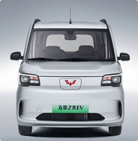 Automóvil WuLing, WuLing Zhiguang Nueva Energía 2025, Tipo Comfort de 201 km de Autonomía