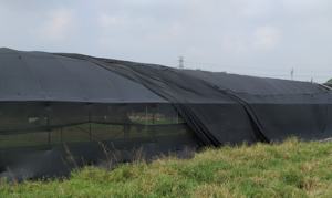 Invernadero Agrícola Multiusos de Gran Tamaño para Cría de Caracoles, de Polietileno de Una Sola Capa - Product Image 4