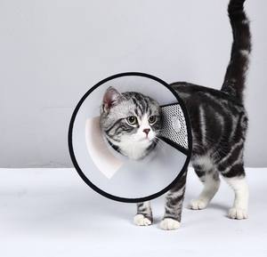 <span class=keywords><strong>Collar</strong></span> de protección circular ajustable antimordedura para mascotas, venta al por mayor - Product Image 2