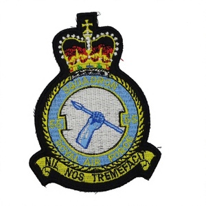 Ceci est un badge de blazer de l'Armée de l'Air royale (RAF), probablement brodé à la main avec du fil de bullion doré et argenté. - Product Image 1