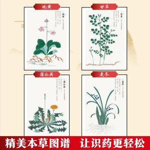 Wonderful Prescription Genuine Ancient Inherited <strong>Classic</strong> Works Complete <strong>Collection</strong> Household Essential Reference <strong>Book</strong> Everyday - Product Image 2