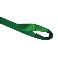 3 ton 5 ton 10 ton 20 ton 2T polyester dokuma sapan bez kemer renk kodu konteyner cinchas düz göz