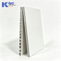 Panneaux de plafond en aluminium alvéolé résistants à l'humidité, ignifuges, faciles à nettoyer, insonorisés, pour cuisine, salle de bain, salon