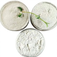 Poudre de mica muscovite 20 mesh pour revêtement ignifuge, isolation modifiée, prix réduit pour grandes quantités, CX009 Chine