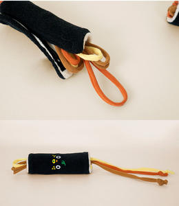 Juguete de Peluche Ecológico para Mascotas, Divertido, Interactivo, Moderno, para Uso Diario, para Perros - Product Image 6