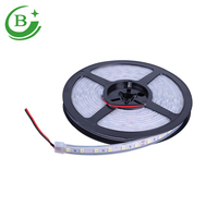 Barre lumineuse LED pour décoration de fête en intérieur, SMD2835, couleur, DC 12V, barre lumineuse flexible LED