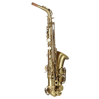 Factory Wholesale Customized Design Lowest Price Brass Eb Tone Alto Sax Musical Instrument