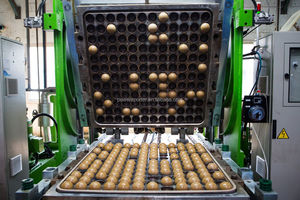 Balles de <span class=keywords><strong>padel</strong></span> pressurisées FIP Standard Rose, personnalisables avec logo OEM, balles de match et d'entraînement portables de qualité supérieure approuvées ITF pour clubs et vente en gros - Product Image 4