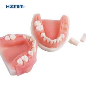 Modello di Pratica per Cisti Dentali per <span class=keywords><strong>Formazione</strong></span> Chirurgica Orale Prodotto per Scienze Mediche - Product Image 2