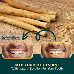 Bâtons de Miswak Sewak Noor de haute qualité, 100% naturels, organiques, biodégradables, paquet de 3 - Product Image 4