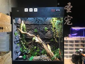 Fabriek Direct Klimmen Huisdier Doos - Product Image 6