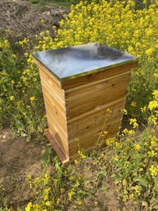 2024 Hot Bán một nông cạn và hai sâu có thể tháo rời <span class=keywords><strong>Hive</strong></span> Starter Bộ dụng cụ luộc Sáp tổ ong cho ong tốt hơn nuôi - Product Image 5