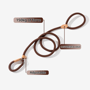 Laisse pour chien en polyester à motif uni, décorée de rubans, réglable, anti-traction, écologique, absorbant les chocs - Product Image 3