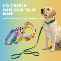Bricolage créatif collier de chien imperméable doux et confortable accessoire de marche décoratif pour animaux de compagnie