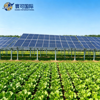 Kit Pemasangan PV Agrivoltaik Kelas Utilitas untuk Pertanian, Sistem Rak Surya Pembangkit Listrik Bersama Pertanian